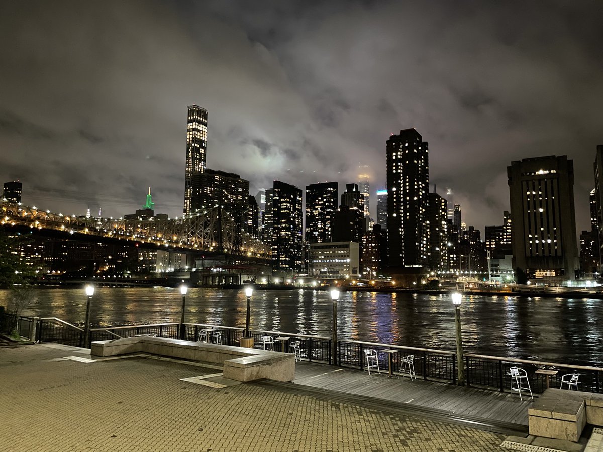 Dr Sara Kross tweet media