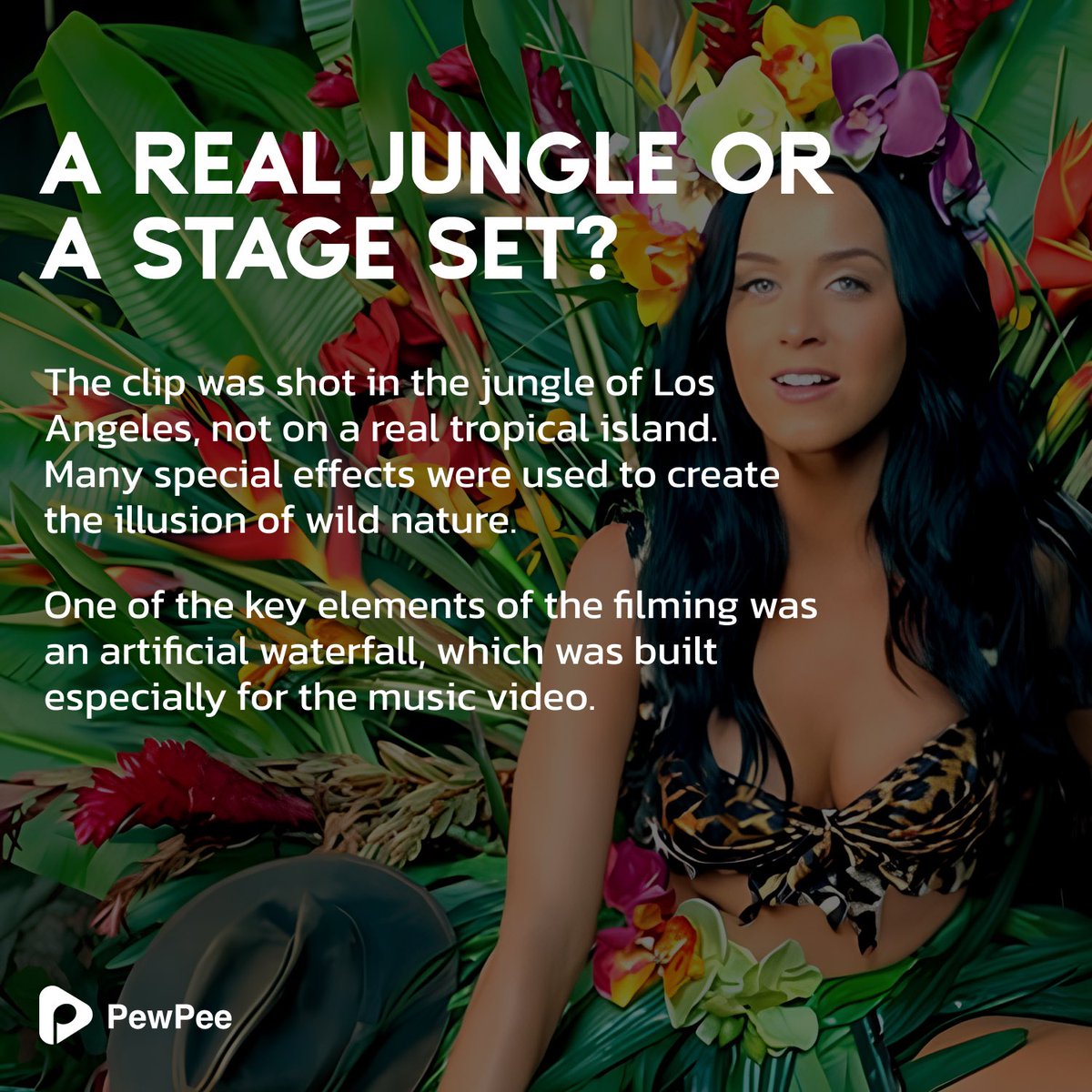 PewPeeMusic's tweet photo. Remember that clip with the tigers and elephants? Do you know how it was filmed? 

If not, it's time to find out!

🌴🐅☀️ https://t.co/BJIHPhsJ8k