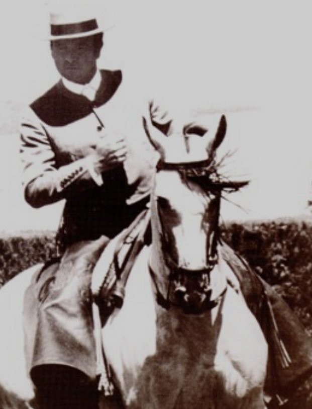 🏅Medalla de Andalucía a Álvaro Domecq por su Proyección de Andalucía