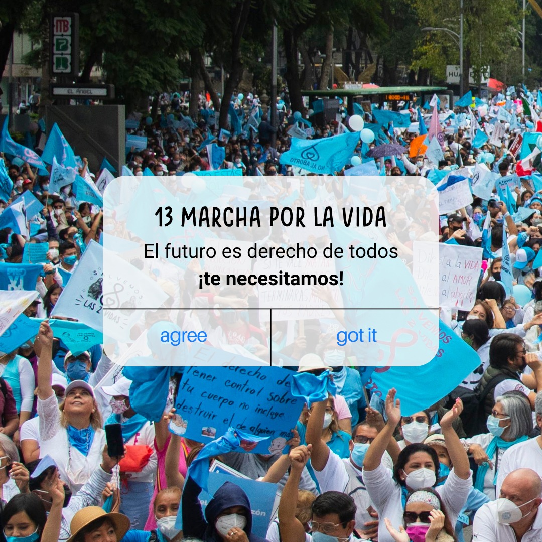 Nuestro próximo póster para la 13 Marcha por la Vida está cocinándose y a poco tiempo de lanzarse… ¿Están listos generación provida? 

Dale RT 

#DerechoAlFuturo #MarchaVidaMx