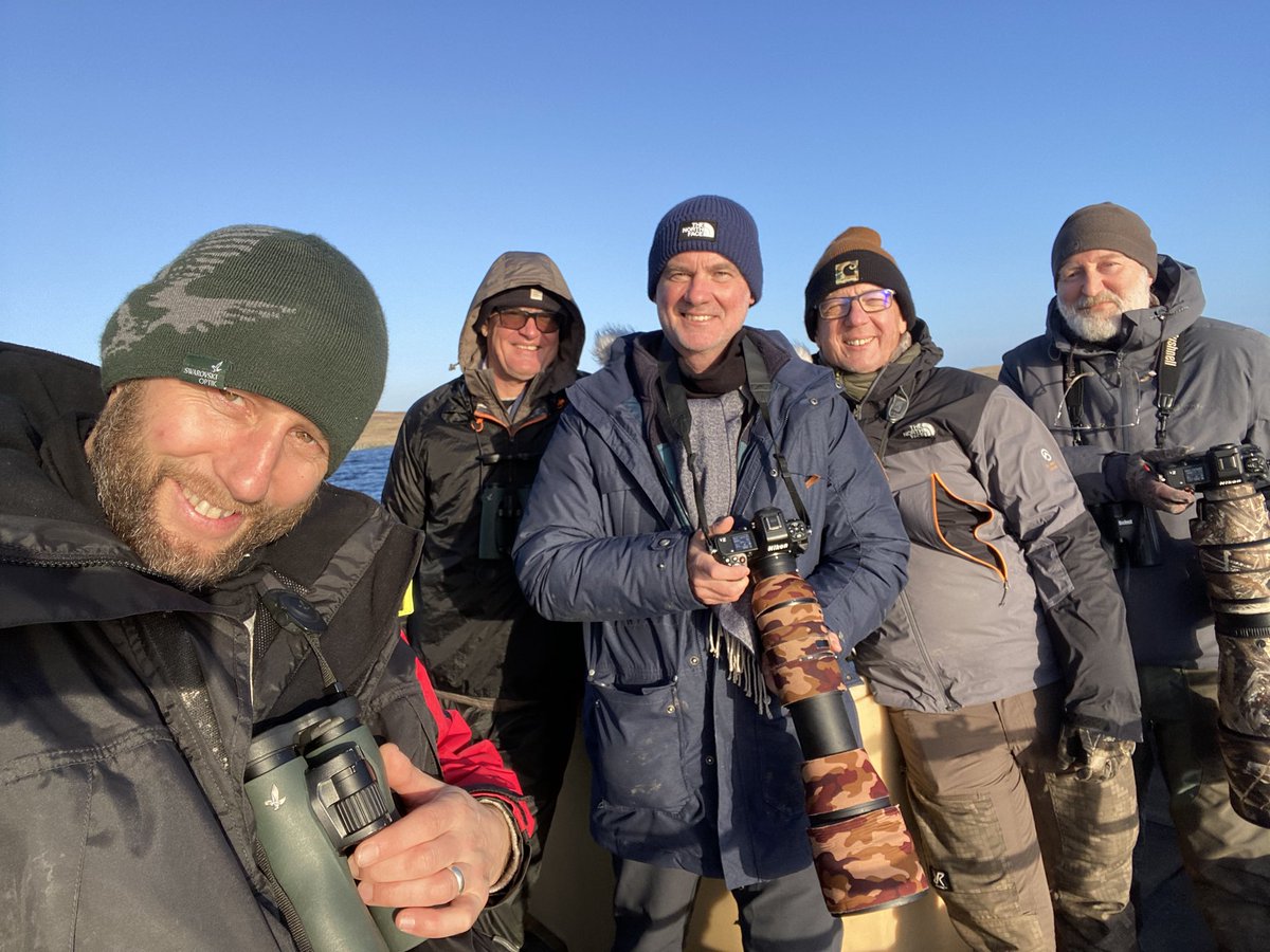 Enjoyed leading a Shetland winter Otter & sea ducks itinerary for French tour company, Contrées Sauvages. Major highlight was finding a 2nd cy drake King Eider as well as a White-billed Diver. Plenty #Otter, Eider & Long-tailed Duck action! #Shetland winter gold! @SwarovskiOptik