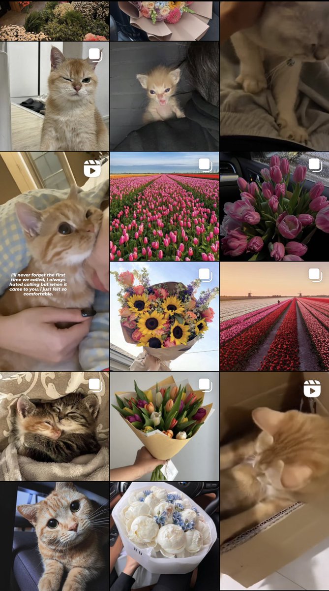 noahdoppenberg's tweet photo. liefde naar mijn explore page https://t.co/NQoyRVXSKR
