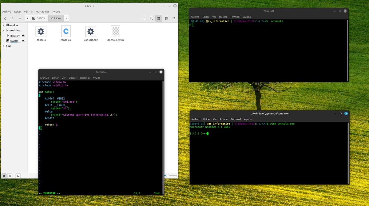 as_informatico's tweet image. Un sencillo código en C que al ejecutarlo abre una terminal dependiendo si se ejecuta en Windows (CMD) o Linux (sh)
#programación #ejercicios #multiplataforma #C