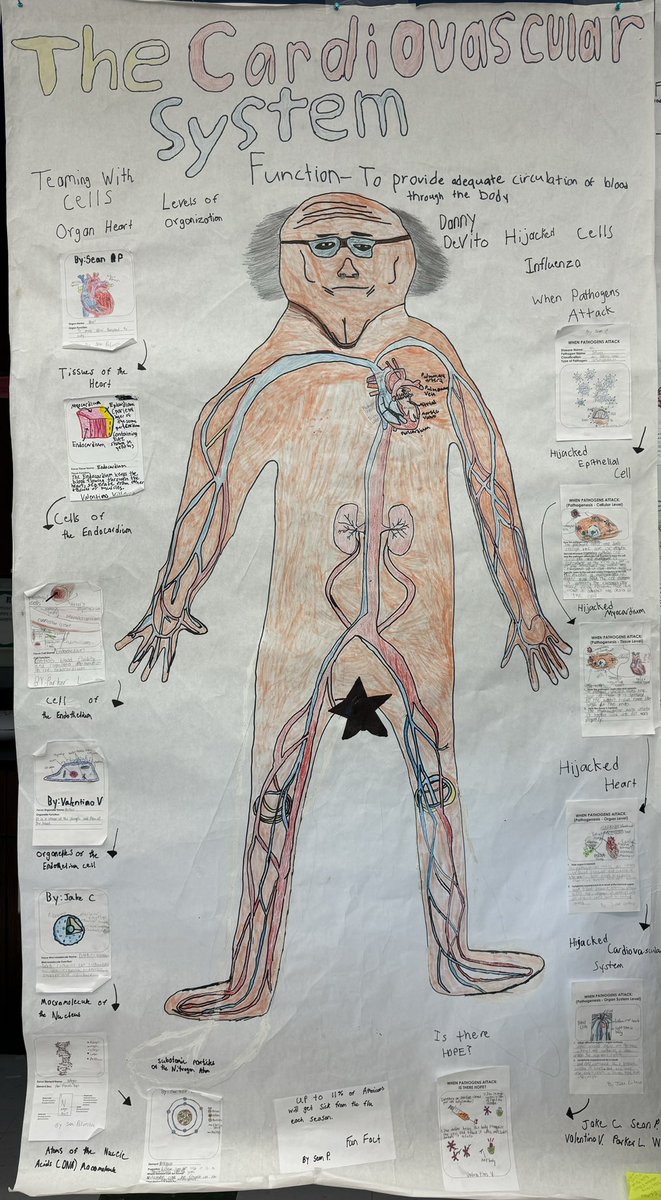 Dian Brannen (@brannen706) on Twitter photo Hey <a href="/DannyDeVito/">Danny DeVito</a> You were immortalized by five 7th graders in Mrs. Peragalloâs science class @TOIS as part of their âBody Systemsâ project!!! Gotta love middle schoolers!đ𤣠đ@camato @stormsullivan85
#middleschoolrocks
#scienceclassrules Hey <a href="/DannyDeVito/">Danny DeVito</a> You were immortalized by five 7th graders in Mrs. Peragalloâs science class @TOIS as part of their âBody Systemsâ project!!! Gotta love middle schoolers!đ𤣠đ@camato @stormsullivan85
#middleschoolrocks
#scienceclassrules