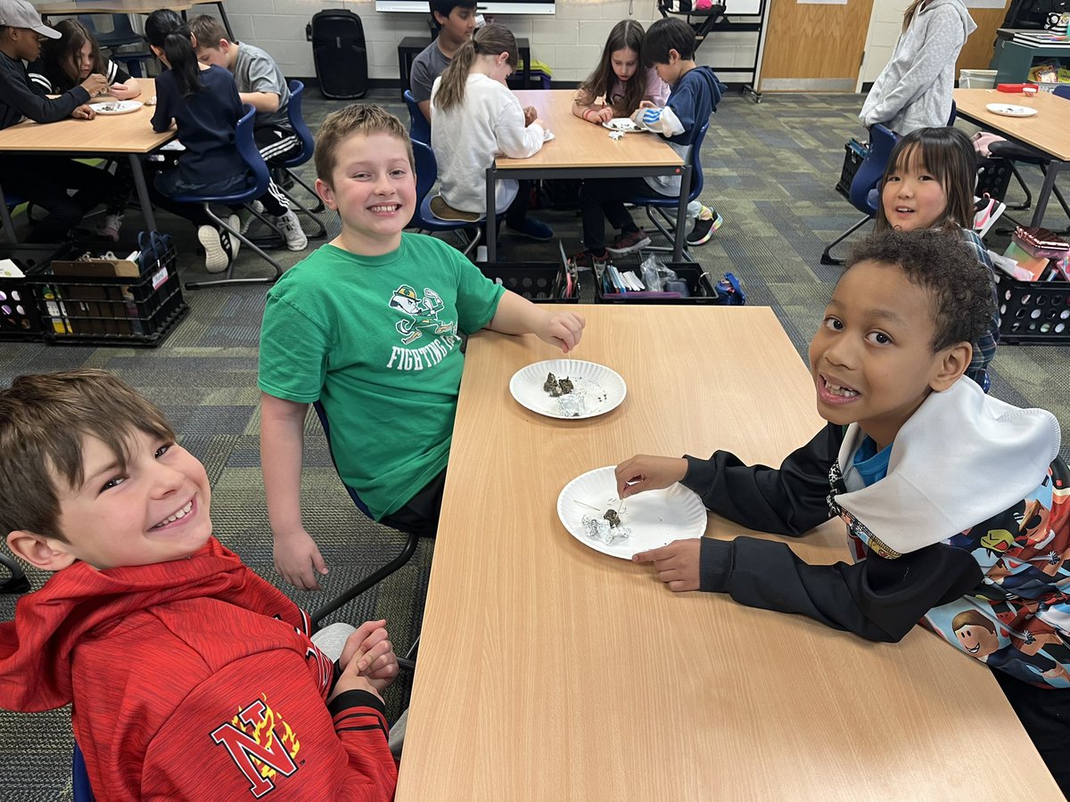 Heather Thompson and Lisa Champe (@champethompson) on Twitter photo Third grade scientists dug deep as they explored owl pellets to compare rodent and human skeletons. <a href="/DeerfieldNovi/">Deerfield Elementary</a> #DFCAREs #NoviPride Third grade scientists dug deep as they explored owl pellets to compare rodent and human skeletons. <a href="/DeerfieldNovi/">Deerfield Elementary</a> #DFCAREs #NoviPride