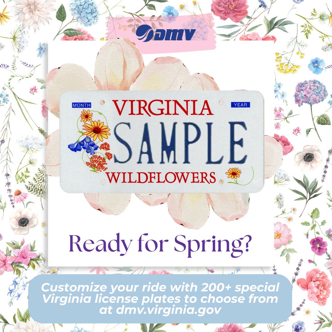 VirginiaDMV's tweet image. Spring is just around the corner. There&apos;s just something about the bloom of a new season in Virginia!

If you agree, our Wildflower plate is perfect for you. Order yours today! ow.ly/3AWl50QBccS
#SpringInVirginia #CustomPlates