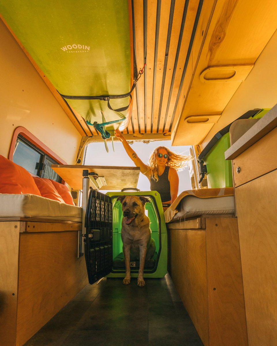 There are 6 million car accidents each year in the United States. That's why you don't ride with your dog unrestrained.

Don't compromise on safety. More reasons why: gunner.com/pages/crash-te…

#MansBestFriend Deserves #MansBestKennel