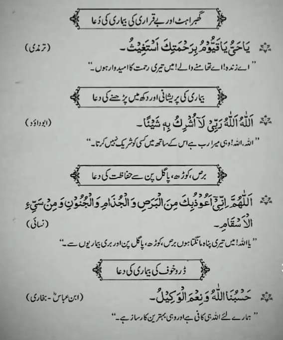 zoi005's tweet image. Yar aaj bht neend a rai ma sonay lagi
Subha InshaAllah hi gi baat
Allah hafiz everyone ♥️🎉
Good night 😴