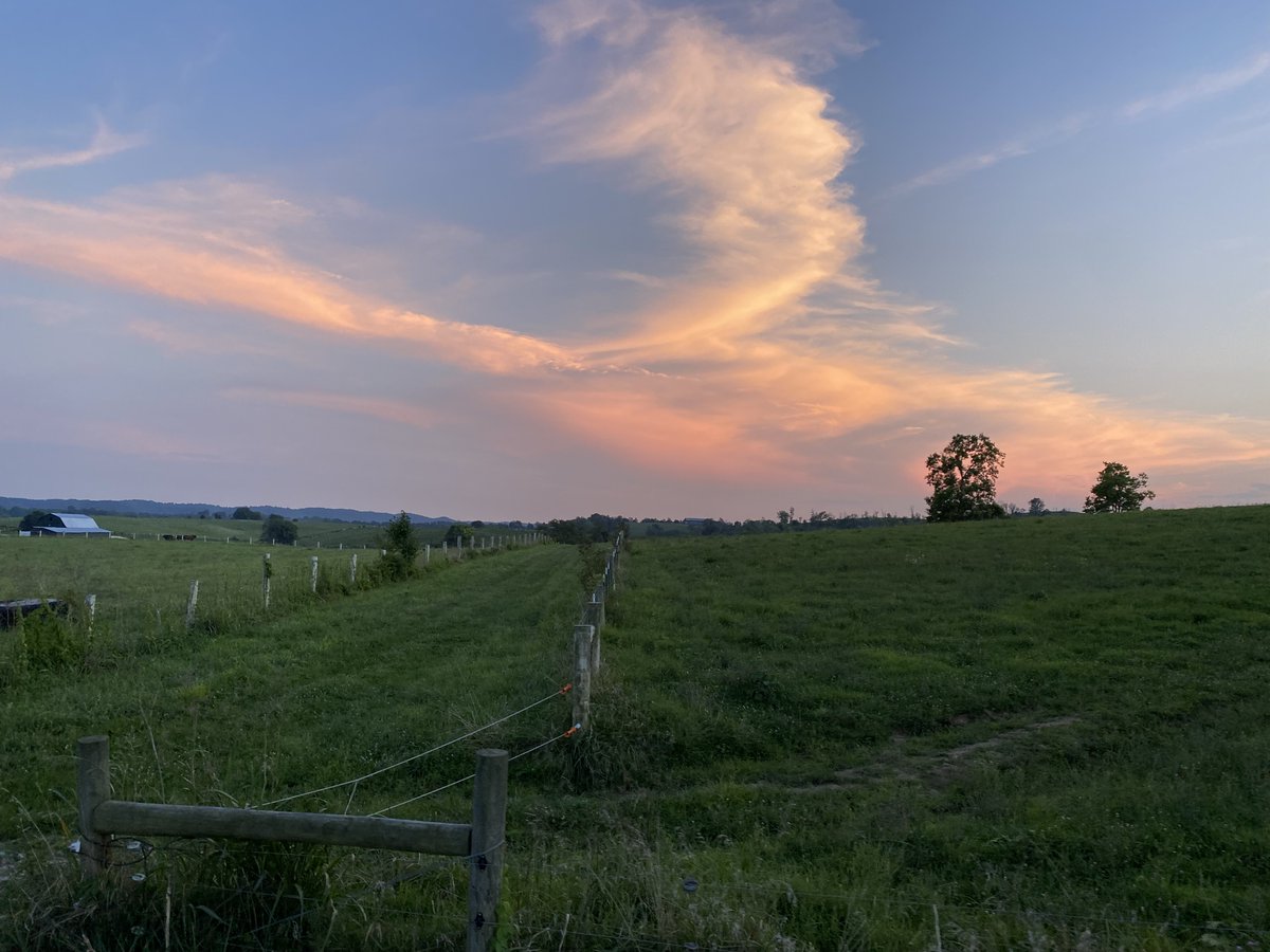WedgwoodCircle's tweet photo. Fiction authors - we are now accepting applications for the all-expenses-paid GoodLit Writers Retreat, to he held this Aug. 11-16 in Stanford, KY.  For more info and to apply: https://t.co/mQB7He3gYy https://t.co/yQuVbxMzgZ