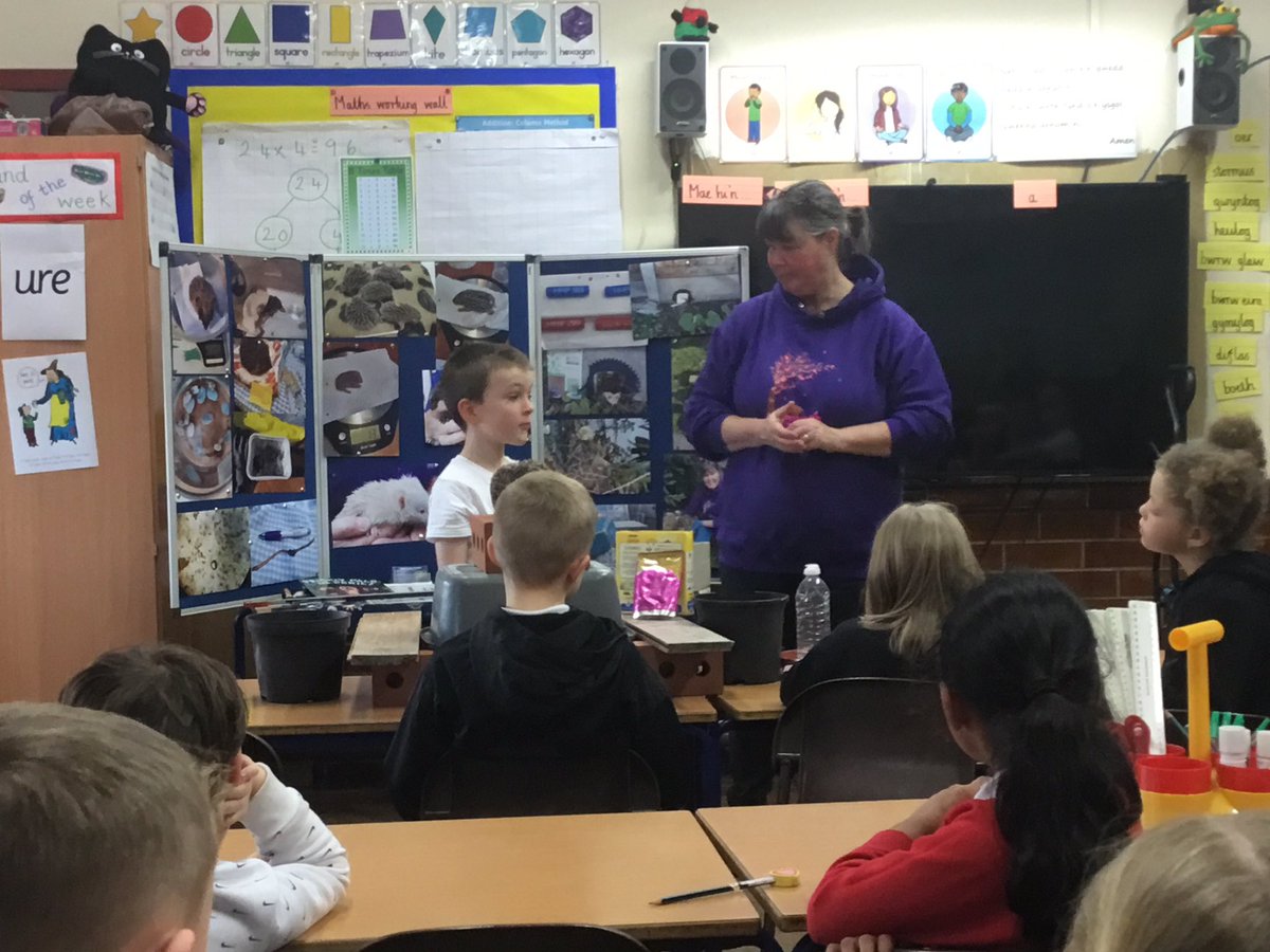 ysgolycastell's tweet photo. Thank you to Tracy at @HHPrestatyn for coming in today to talk to us about hedgehogs. Thank you also to you for the kind donations of cat food that Tracy has gratefully accepted. 🦔 https://t.co/ggP1VcDgdy