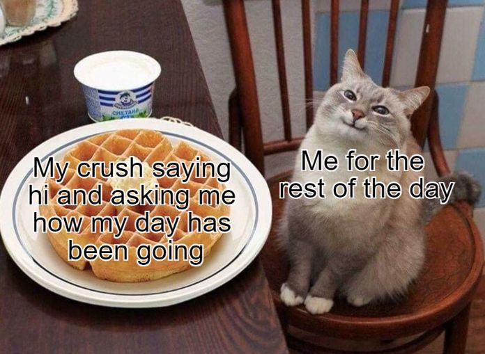 WholesomeMemes (@wholesomememe) on Twitter photo 