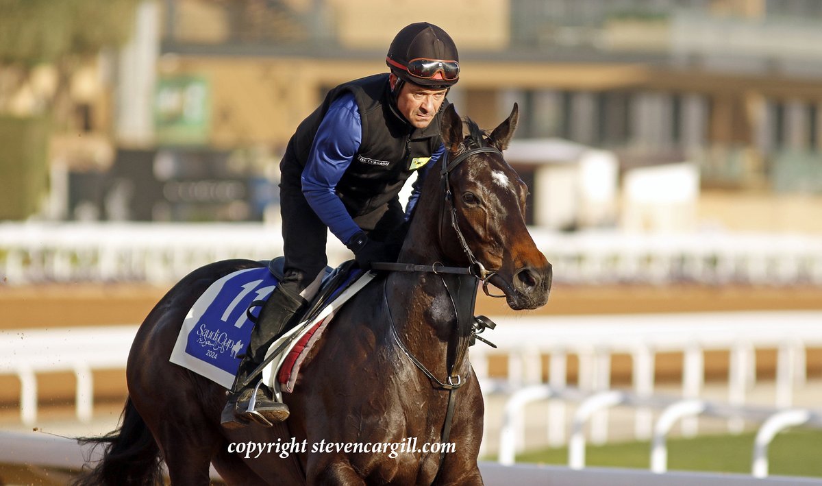 Steven Cargill (@steven_cargill) on Twitter photo Now with the Gosdens, G2 winner JACK DARCY goes in Saturday's Neom Turf Cup <a href="/thesaudicup/">The Saudi Cup</a>, while MATILDA PICOTTE runs in the 1351 Turf Sprint for <a href="/KieranCotter14/">Kieran Cotter Racing</a> Now with the Gosdens, G2 winner JACK DARCY goes in Saturday's Neom Turf Cup <a href="/thesaudicup/">The Saudi Cup</a>, while MATILDA PICOTTE runs in the 1351 Turf Sprint for <a href="/KieranCotter14/">Kieran Cotter Racing</a>