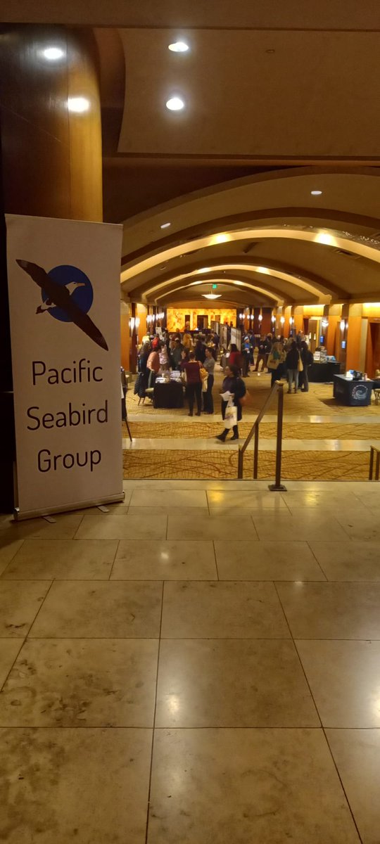 We have officially started the 51st annual PSG meeting! We have a wide array of talks and posters! Feel free to share social media stories/tweets of the conference, make sure to include the hashtags #PSG2024 #seabirds !!!