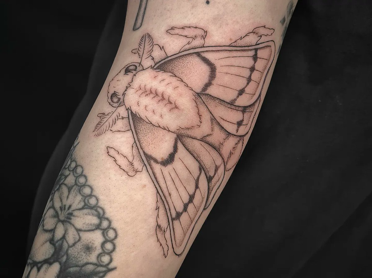 Stylised Silk Moth in the elbow ditch for Primrose! You sat incredibly for such a sore area 💙