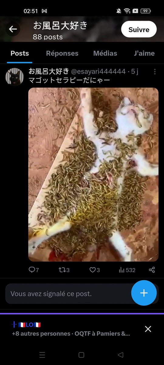 AdhikaPrapti's tweet photo. NEVER MORE!! #ccpchina must act against #catsAbusers!! We 'll never stop shouting our requirements for a law against #animalcruelty in #china!
#中国猫虐待グループ #中国政府
#動物虐待反対 #動物はモノじゃない https://t.co/IYiAPT8pbc