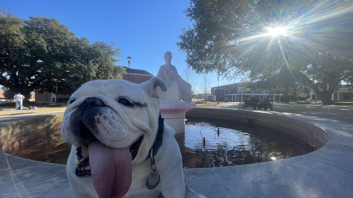 Skipped studying to soak up the sun ☀️ @LATech #mascot