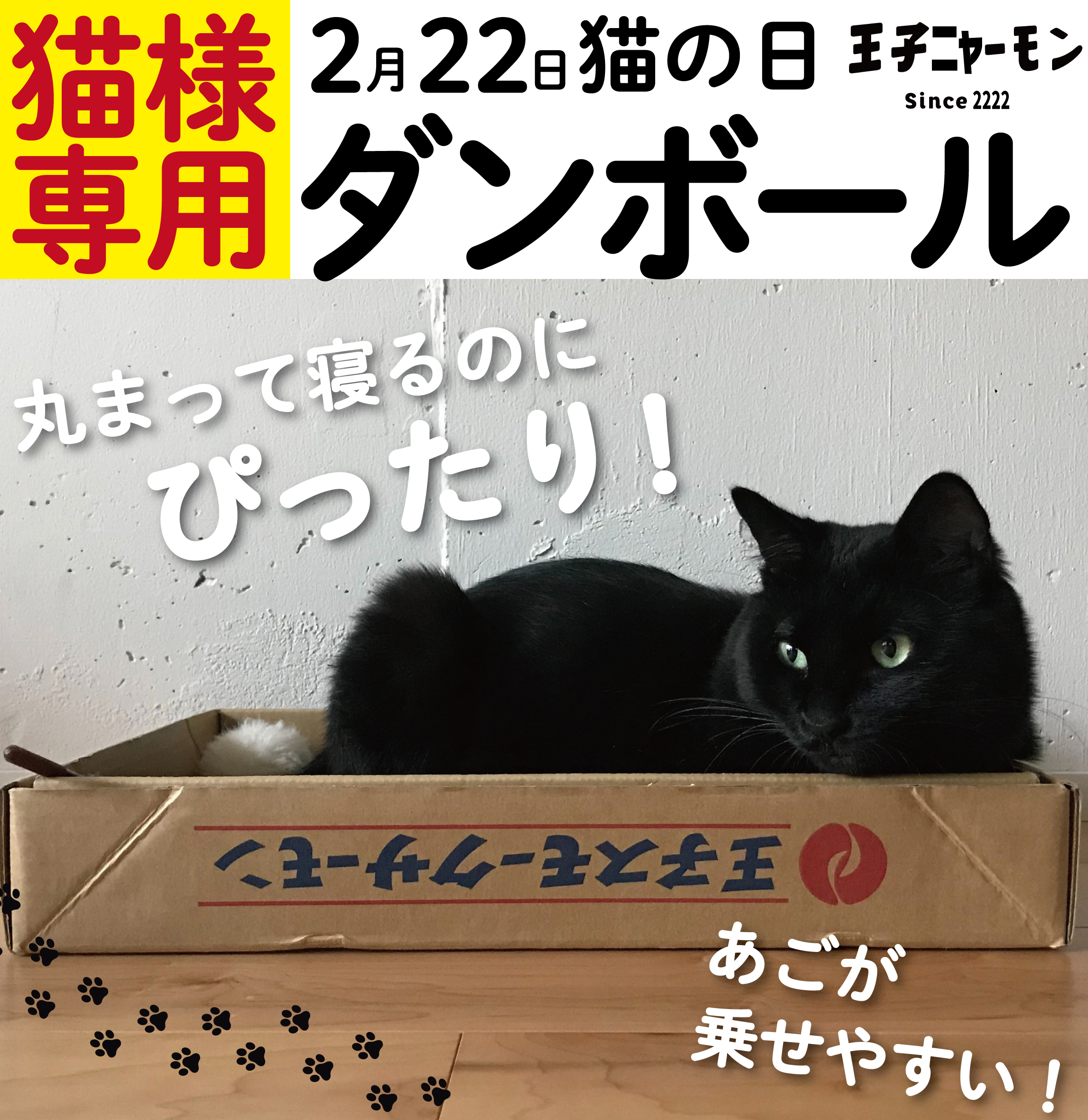 黒猫さま 専用 7点 おまとめ 黒猫さま 専用 7点 おまとめ