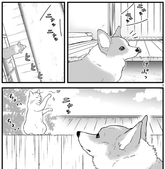コーギーと猫とお出かけ

#ねこの日 
#殿と犬 