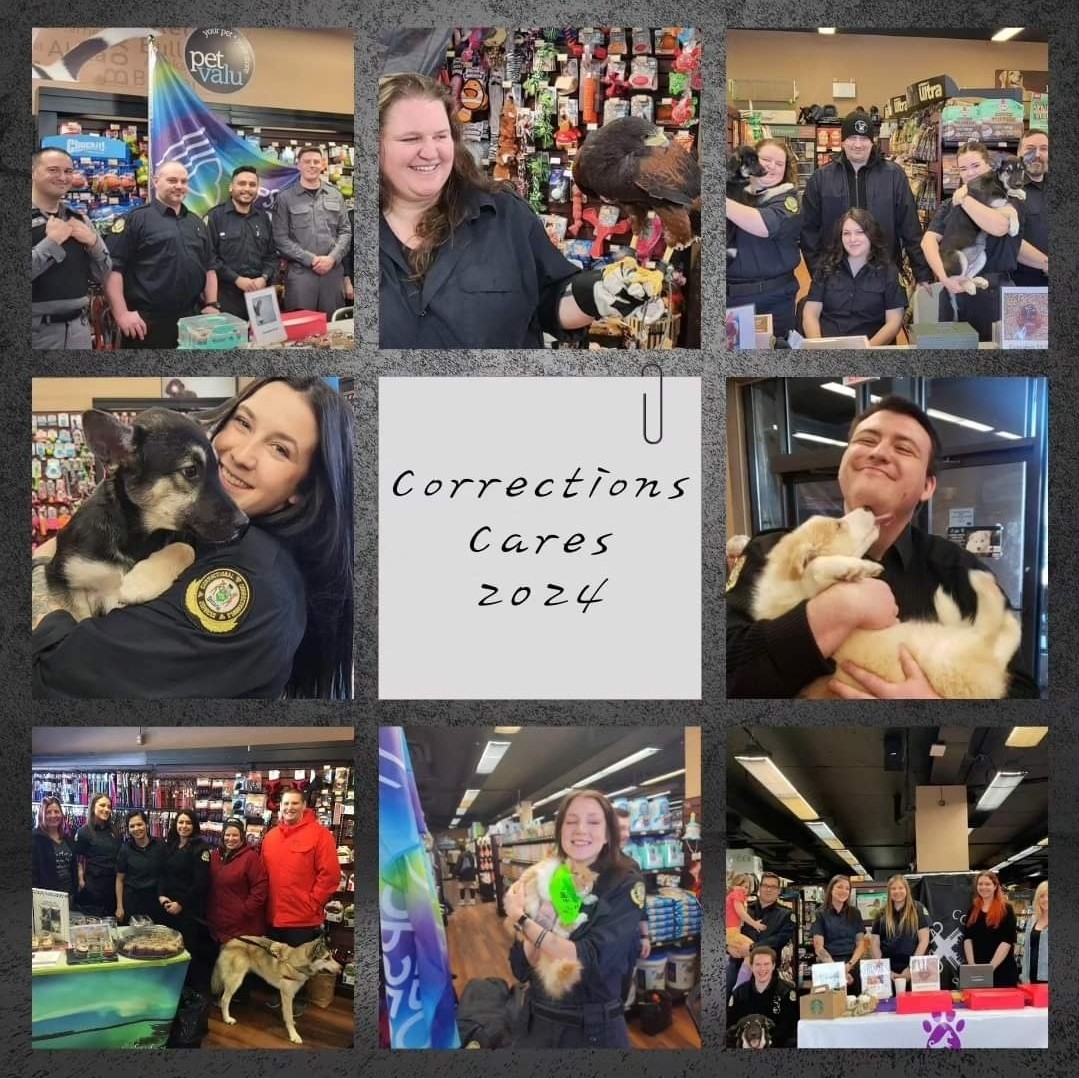 OPSEU's tweet photo. OPSEU/SEFPO correctional workers are strengthening communities by supporting local charities! Corrections Cares About Communities Week 2024 runs from February 22-29. Find a local event near you! (Check back regularly as new events are added.) https://t.co/G8mEkplpwj https://t.co/PpGKiqaiIz