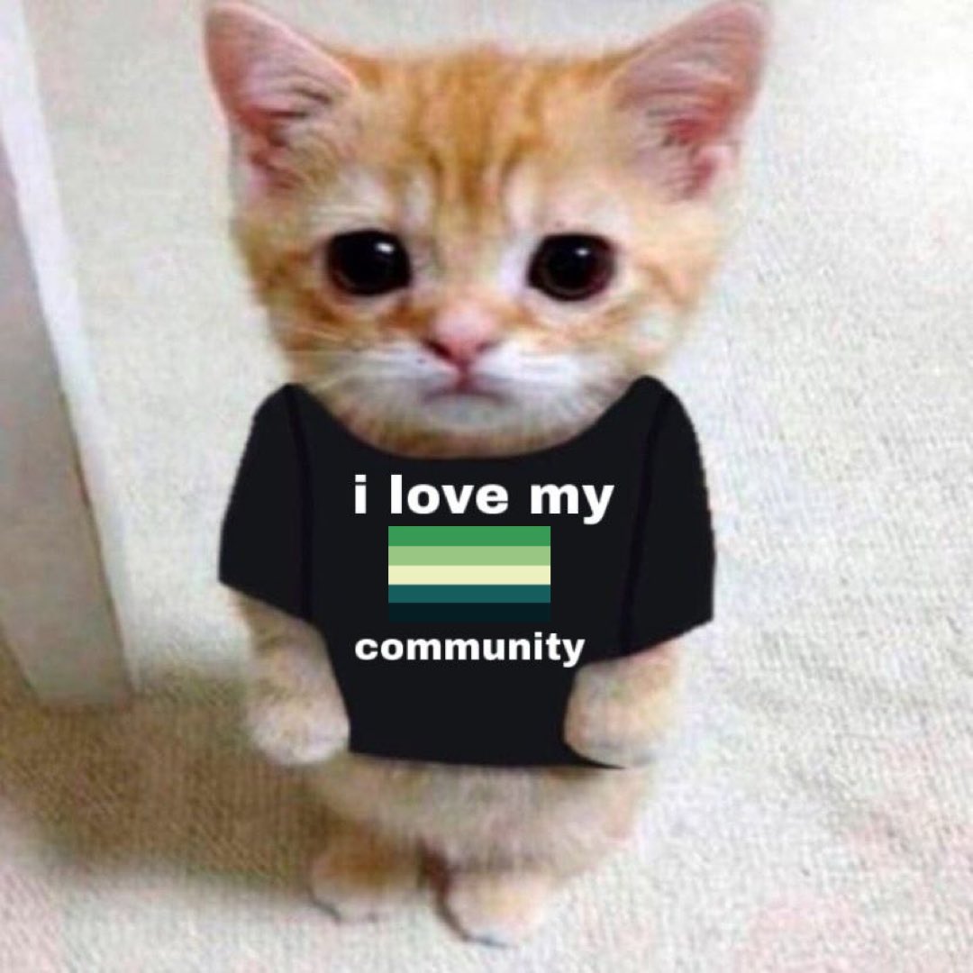 thread of silly aro cats 🐈

aromantic &amp; arospec