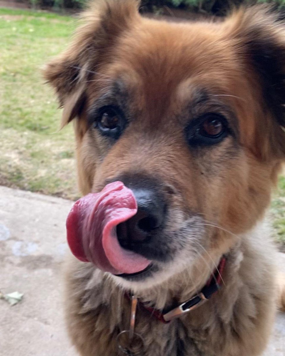 Danny Deraney tweet media