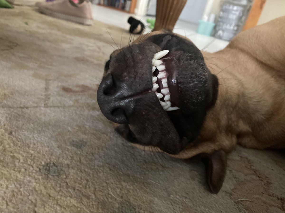 Susan Siniawsky tweet media