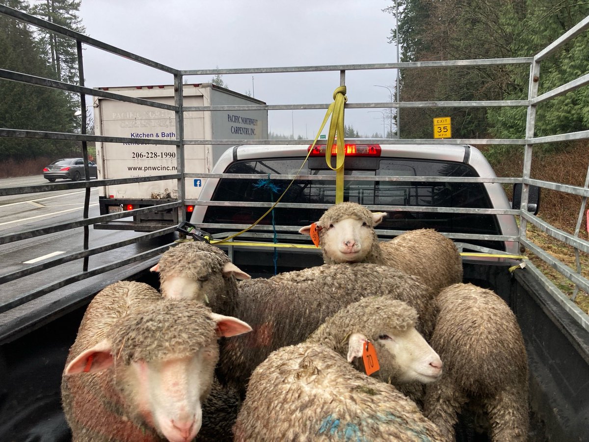 Trooper Rick Johnson tweet media