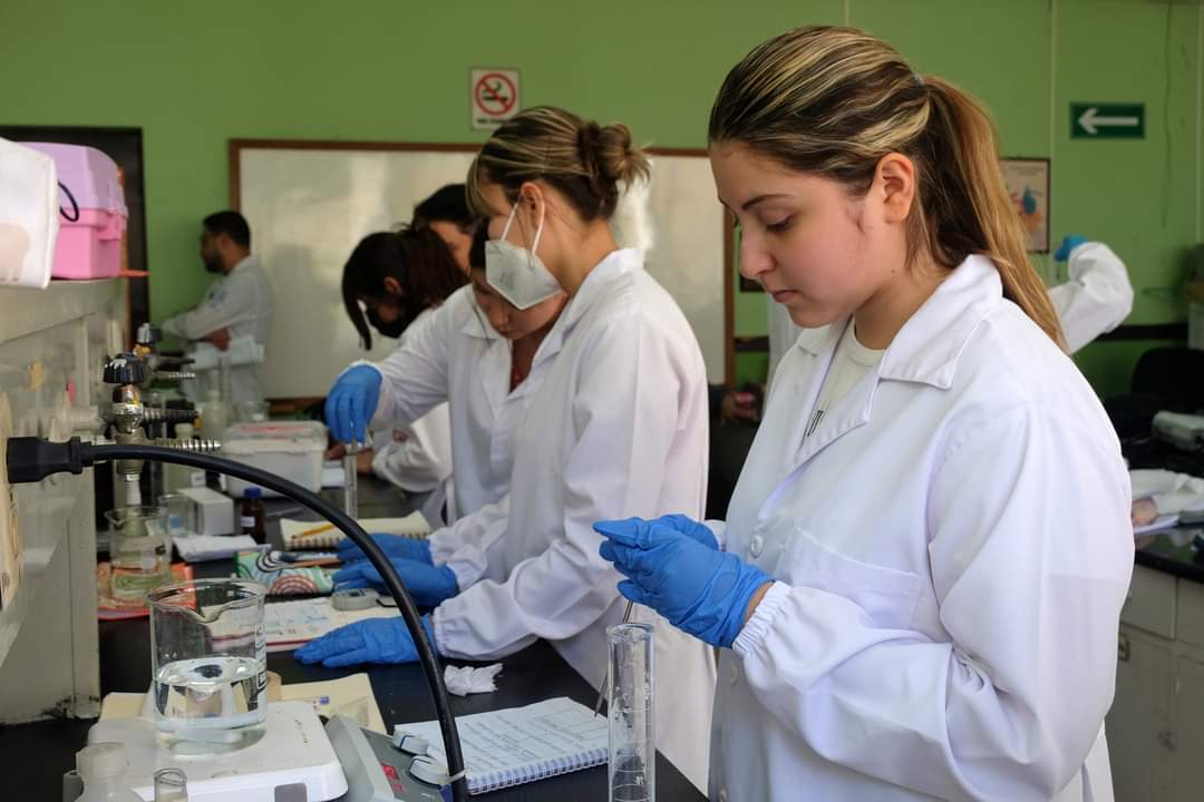 juanrosaues's tweet photo. La @UESoficial recibe nuevamente a sus estudiantes; el trabajo para preparar los espacios adecuados para nuestra comunidad estudiantil, ha permitido que la mayoría de las facultades retornen a la modalidad presencial. https://t.co/Gm9dFyxpGX