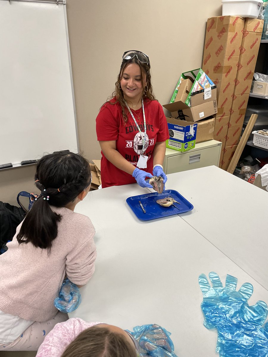 jdeinhammer's tweet photo. We had so much fun celebrating heart health month with the 5th graders today at @CCEColts ! #themoreyouknow💫 #chsap #heartmonth #cisdmissionpossible https://t.co/K3AzbRtaXj