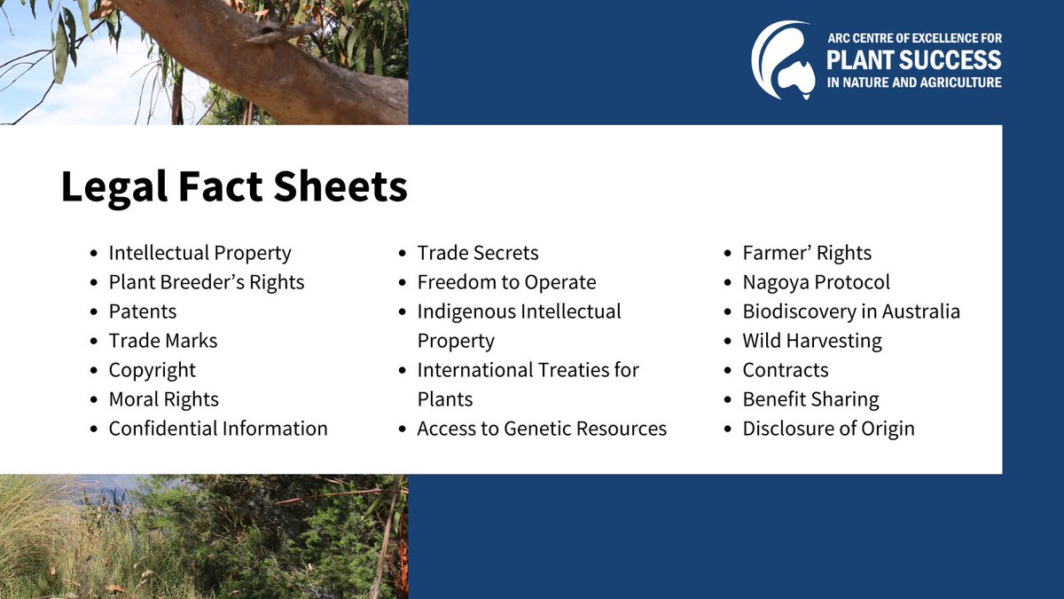 ARC Centre of Excellence for Plant Success tweet media