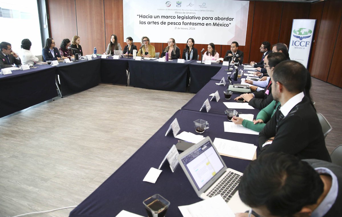 Hoy participamos en el webinar "Hacia un marco legislativo para abordar las artes de pesca fantasma en México", junto a KIM LEY -COOPER Agustín Bravo-Gaxiola Claudia Cecilia G. Olimon Alejandra Lagunes Eleonora Aranda Cardoso Xchel Aurora Pérez Palafox.