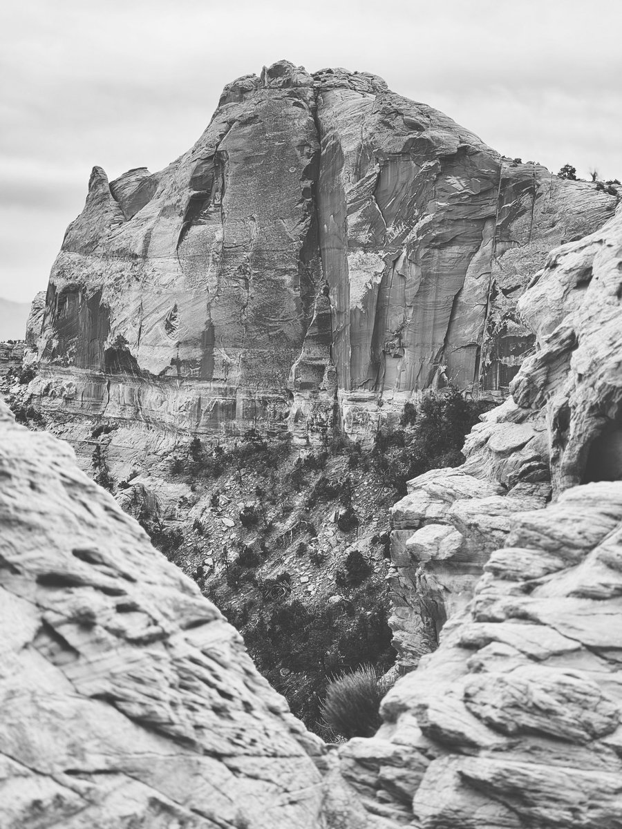 ChrisRiefPhoto's tweet photo. 📍 @CanyonlandsNPS #FindYourPark #BlueLightningBear 💙⚡️🐻 #IBrakeForBrownSigns #Canyonlands #NationalPark @rei #OptOutside #HumansOutside365 #OutdoorsForAll @TheParksChannel #NationalParkGeek #Utah #ParkChat
🌱 You are on Native Lands 💚 https://t.co/j8lHp8BD54