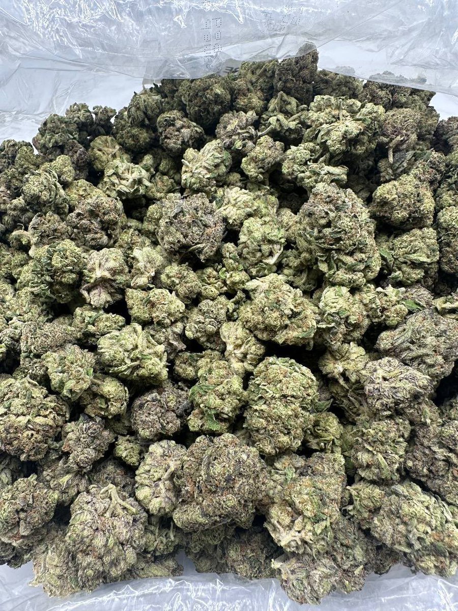 Laylasbud's tweet photo. Mod Grapes 🍇 🔥#420community #cannabisdaily #CannabisCommunity #420friendly #stoners #highfun https://t.co/XcCrGdz0uA