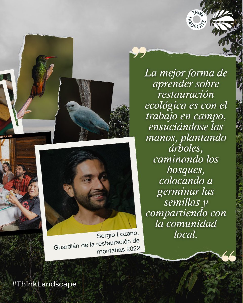 Acompáñanos en una aventura de restauración 🌱

Los Guardianes de la Restauración viajaron por las montañas de Colombia compartiendo experiencias y saberes con comunidades locales durante cinco días de travesía.

Lee la historia completa🔗 bit.ly/4bRVXPF

#ThinkLandscape