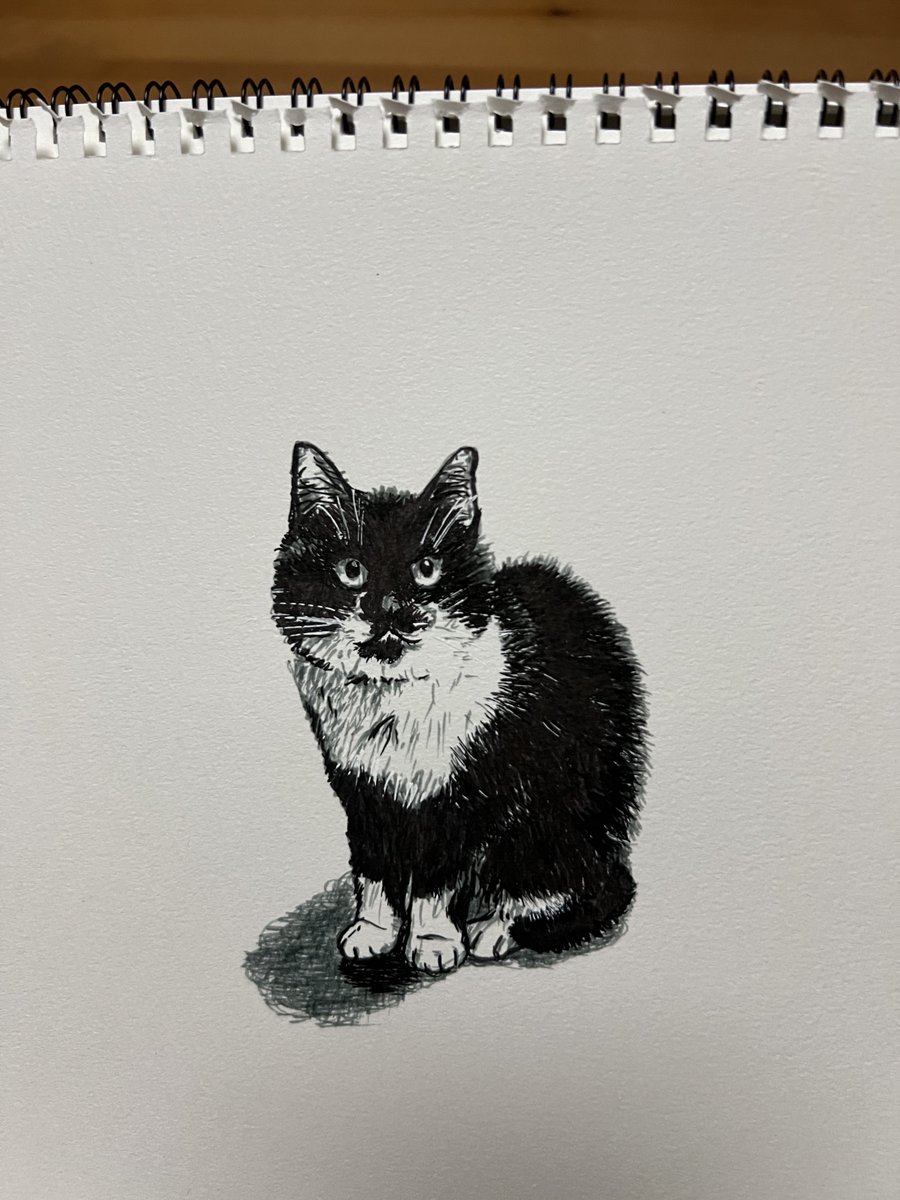 うちの猫描きました。慶弔両用筆ペン画。