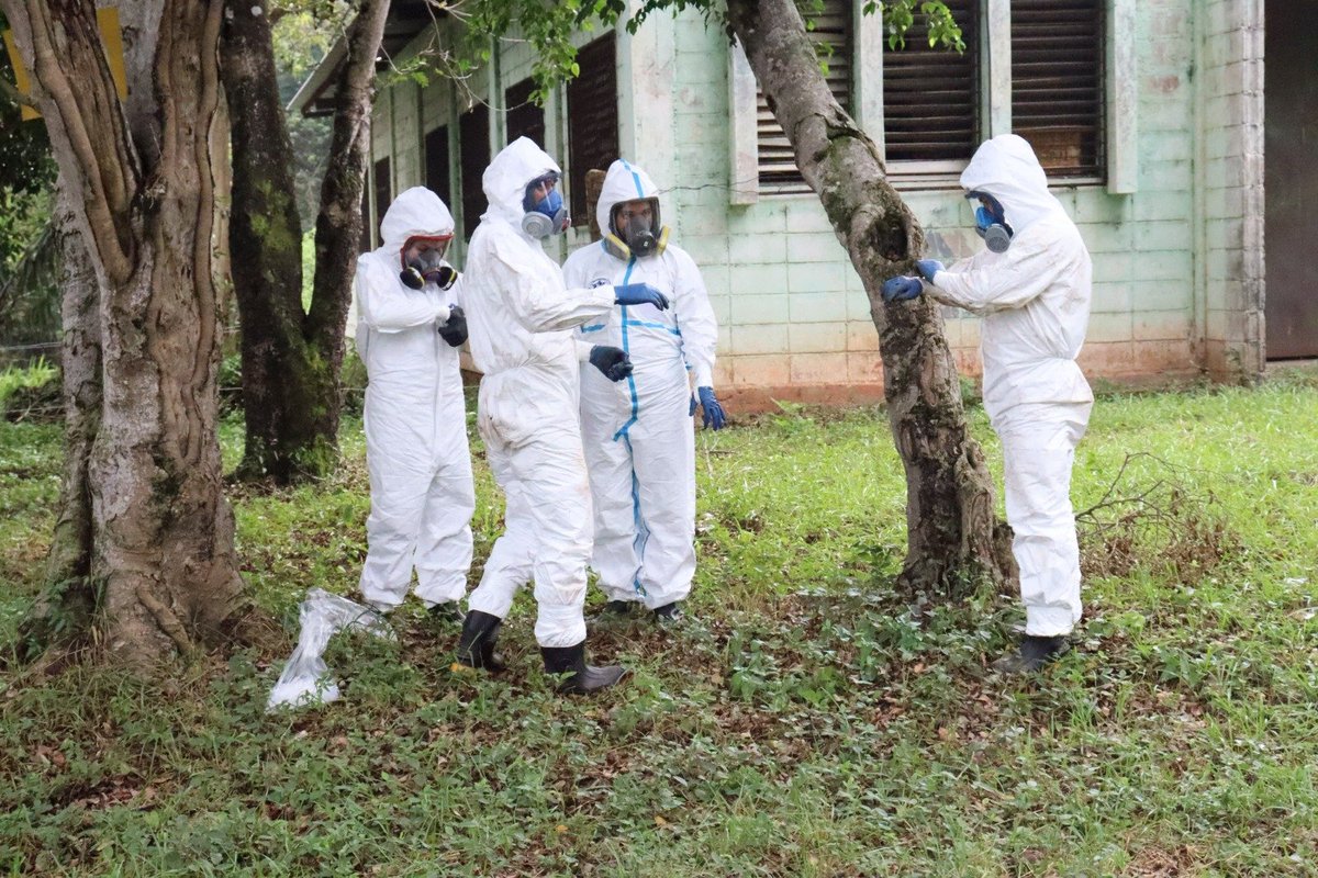 UNODC in Central America and the Caribbean tweet media
