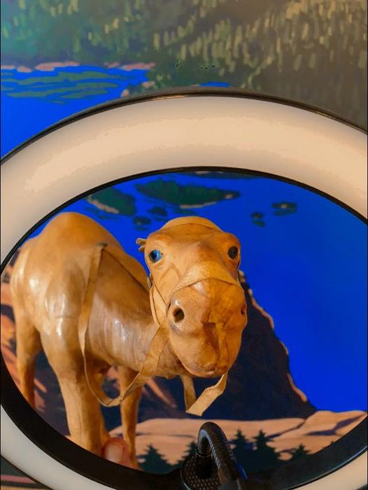 Elevate615's tweet photo. Happy hump day! Niles has the eye for a change of scenery. Instead of the desert he wants a lake vacation. It’s all about the planning. We can help. 😊
#RetirementPlanning #happyhumpday https://t.co/OdOfKmIouR