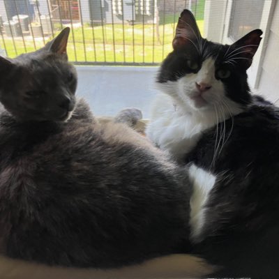 celestialextrem's tweet photo. #NewProfilePic https://t.co/uiLNUF9jqt