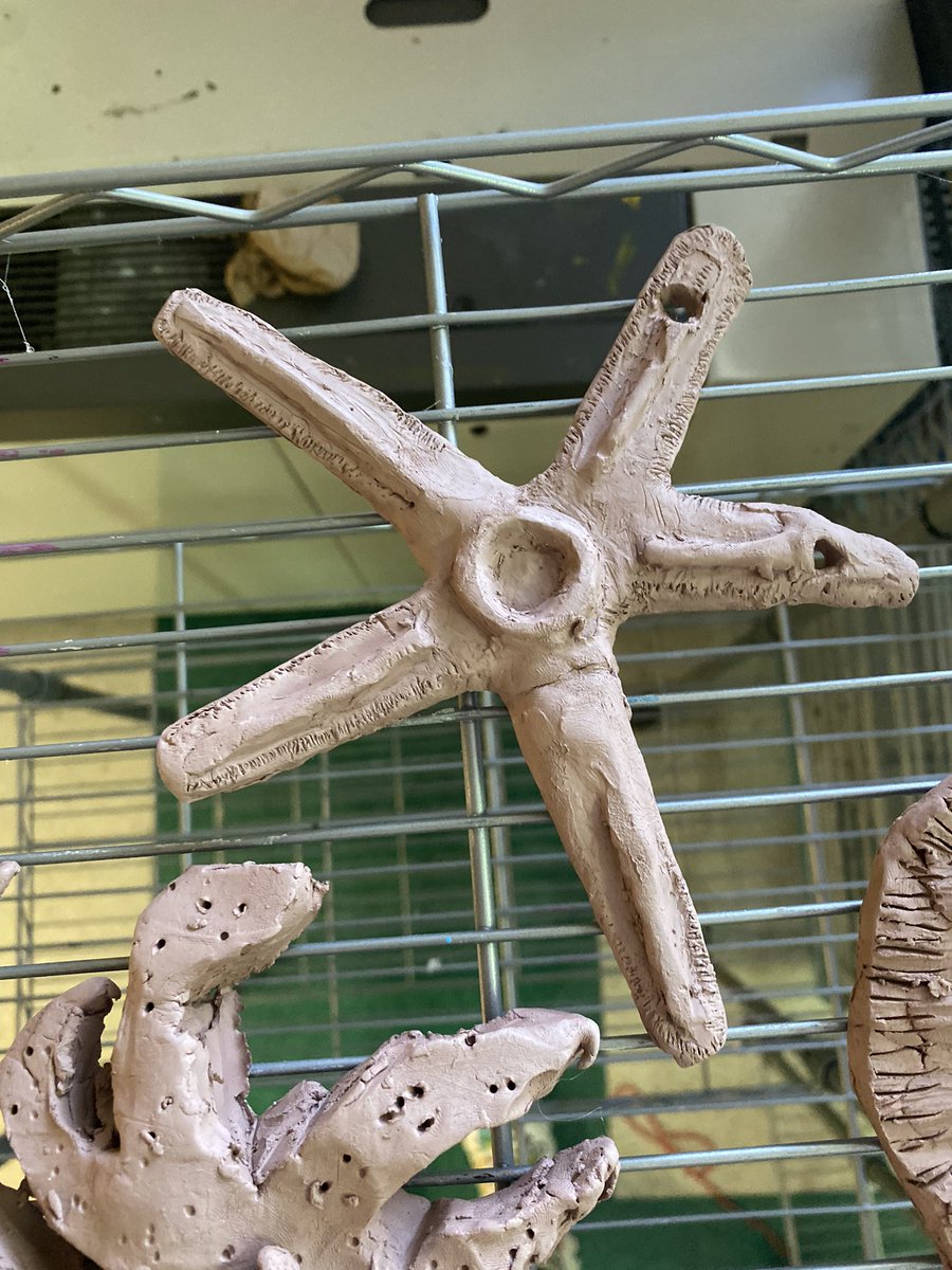 More 7th Grade Sea Creatures waiting to dry out and then go into the kiln! 🐟