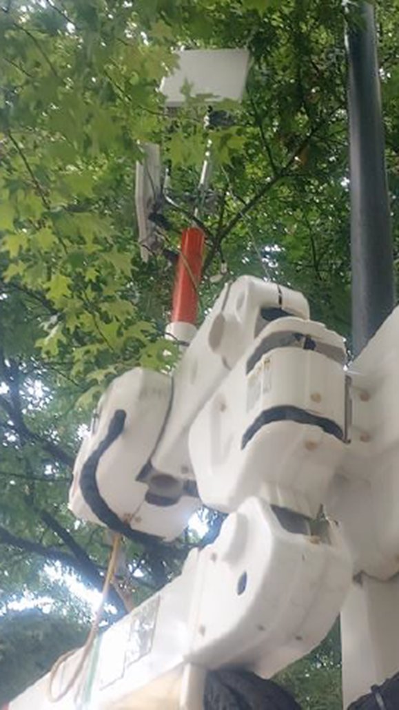 PivotalCommware's tweet photo. In our latest blog, Pivotal’s VP of Product Engineering, Alex Katko, continues our #mmWave mythbusting series. He debunks foliage blocking mmWave signals and the sufficiency of test equipment alone to qualify service. Read the details: https://t.co/YJwa9MxMO7 https://t.co/abjPbSQinb