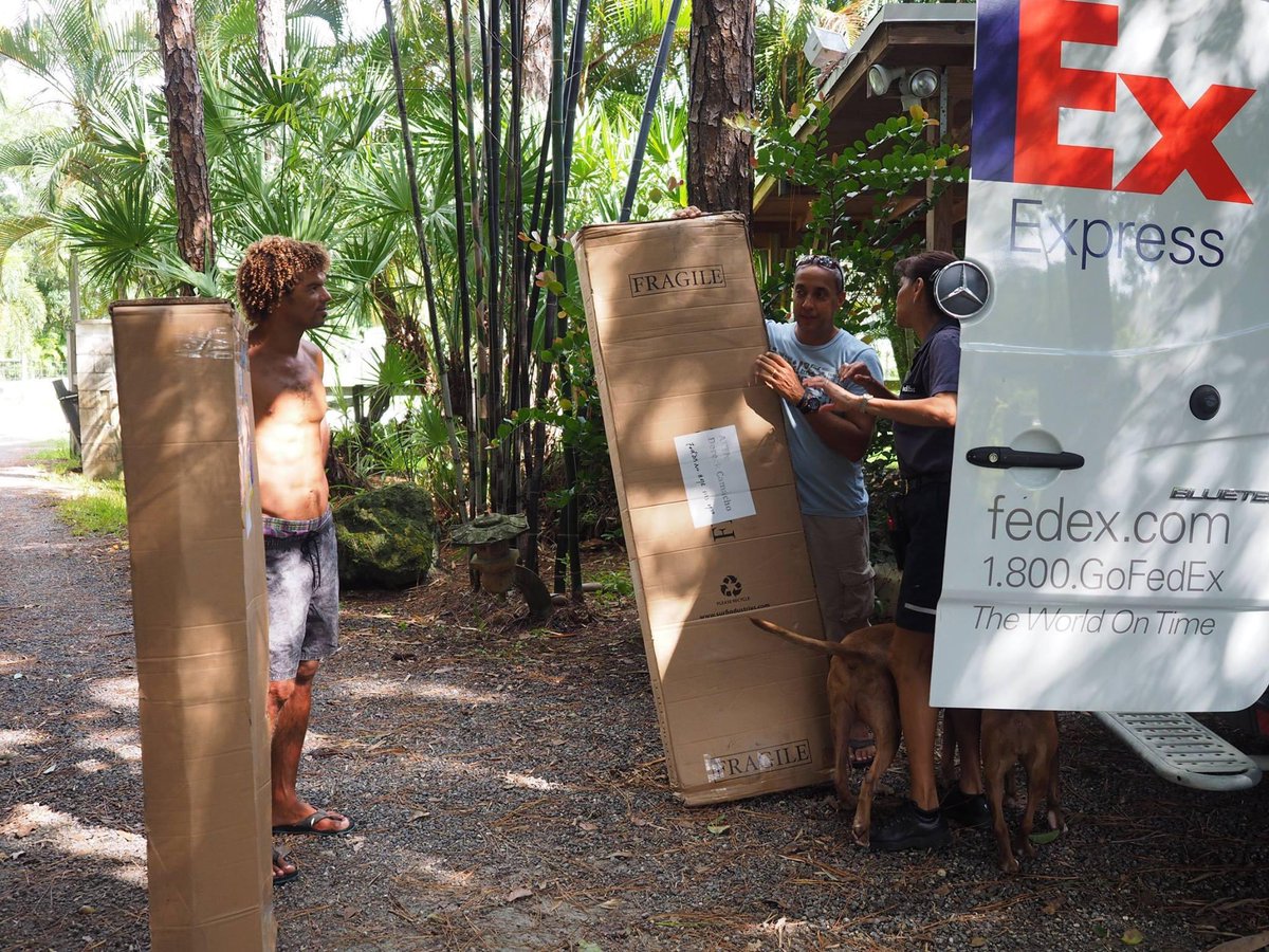 Tona Life tweet media