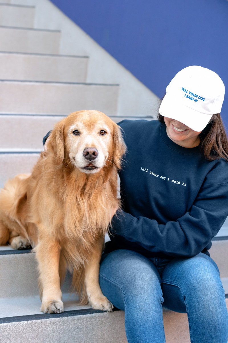 dog_rates's tweet photo. This is Fresno. He's here to remind you we have cozy crewneck sweatshirts, available now in black, bone, and navy. Says these long-sleeved favorites are perfect for an extra layer on a brisk morning dog walk. 13/10 pick yours up at the link below!

https://t.co/BzuJqR32Kk https://t.co/zfgIQotrhO