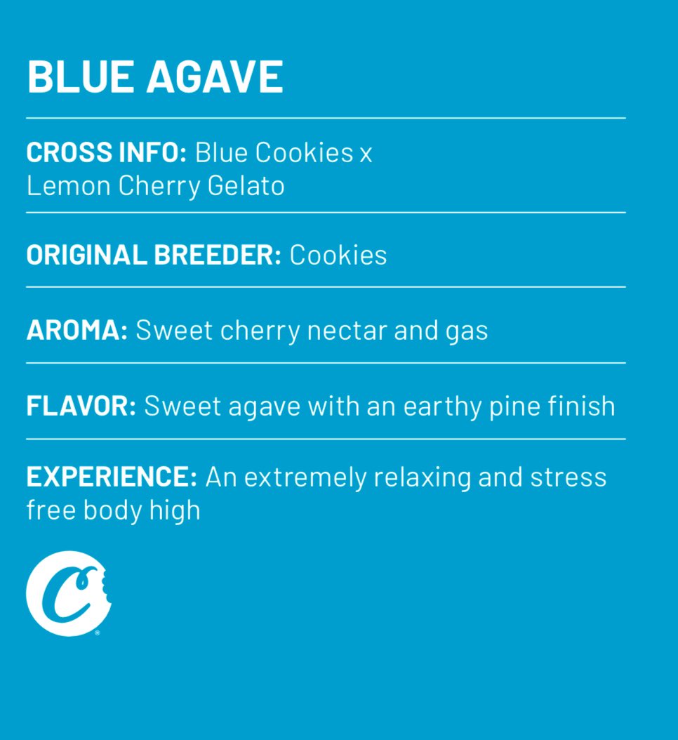 CookiesPeoriaIL's tweet photo. BLUE AGAVE 🔥🍒 ⛽️ 🌲 

“Synonymous with tranquility” 

😌 Indica Dominant 🍃 

⬅️ Swipe to learn more! 

#cookies #blueagave #agave #cherry #gassy #pinene #terpenes #illinois #peoriail #genetics #strains #highvibrations #cookiesenterprises  #cookiesenterpriseshq #indica #hybrid https://t.co/WGF9ScFy6a