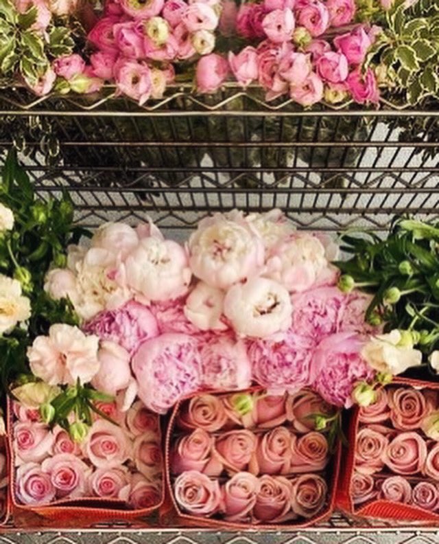 GeminiFlowerSh1's tweet photo. Arreglos florales solo en Gemini Flower Shop &amp; More. ✨💐

#Flores #Flower #ArreglosFlorales #ConsumeLocal #Aguascalientes https://t.co/HwhQVyXdv8