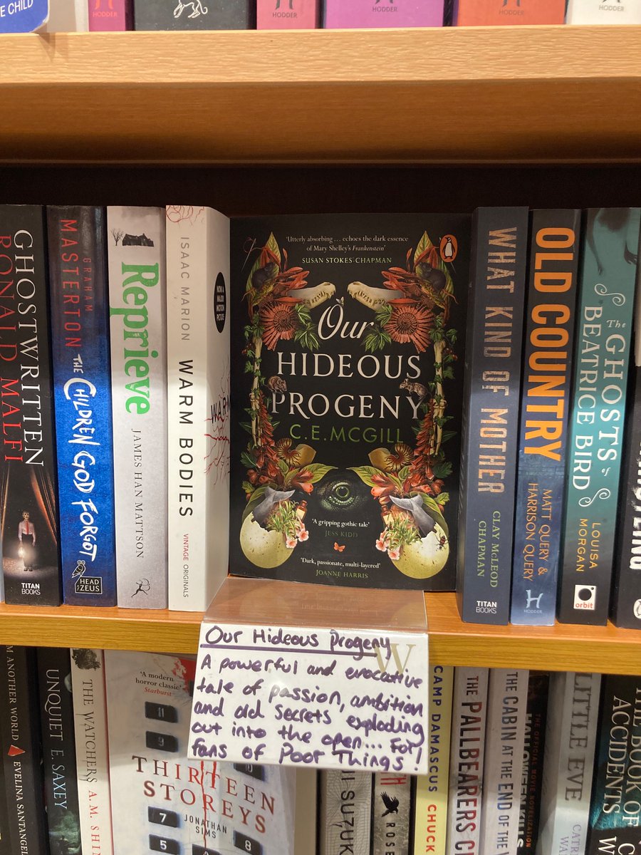 Spotted in @cheltwaters - fab bookseller review of #OurHideousProgeny by @C_E_McGill - love the #PoorThings comp