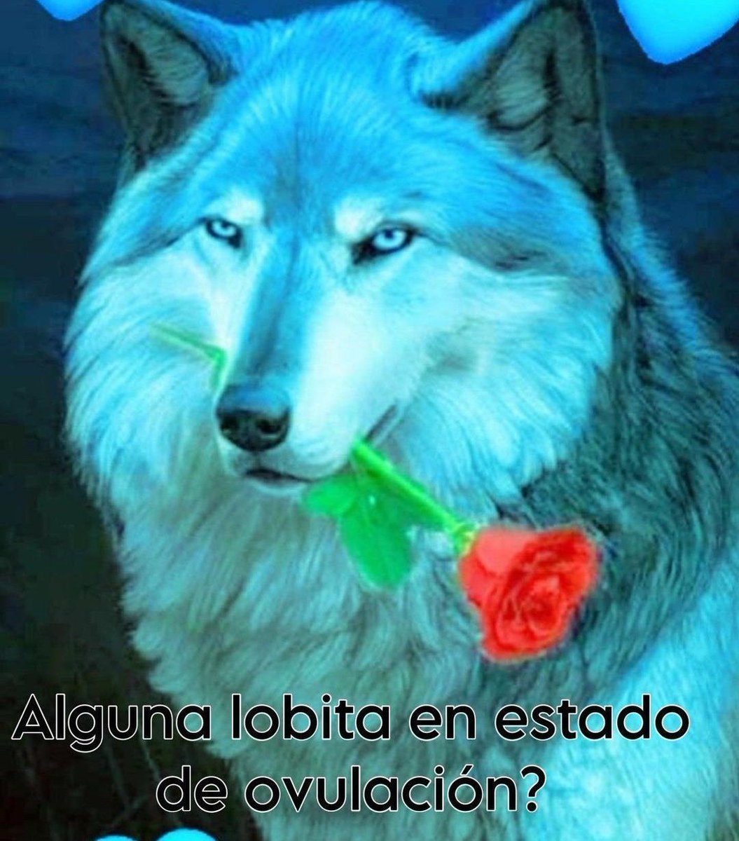 ; 𝕿𝒂𝒍𝒊𝒕𝒉𝒂. (@imnog00d) on Twitter photo 