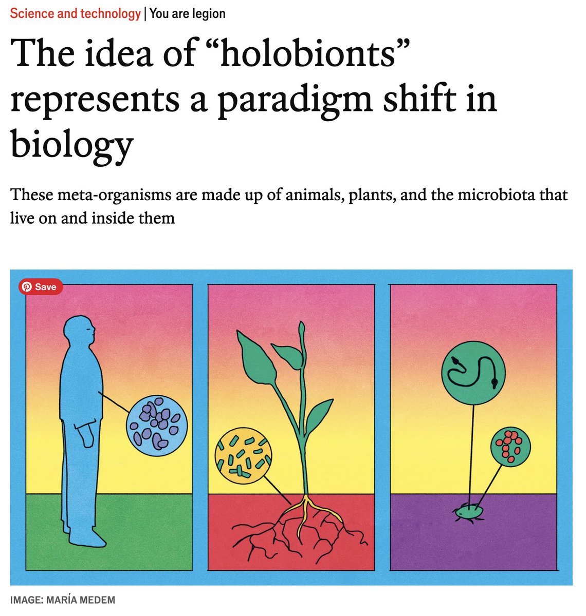 Holobionts - critical new addition to my vocab thanks to @curiousceros, who points out that we inhabit a holobiont of homo sapiens + memes