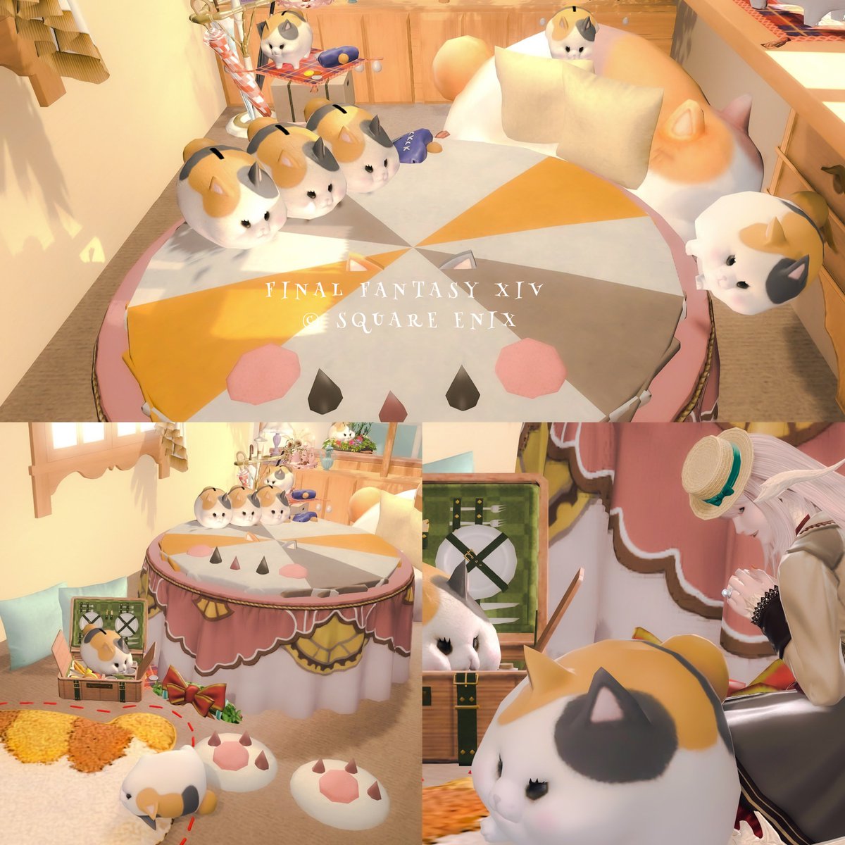 猫の日 🐾
#kacROOMhouse