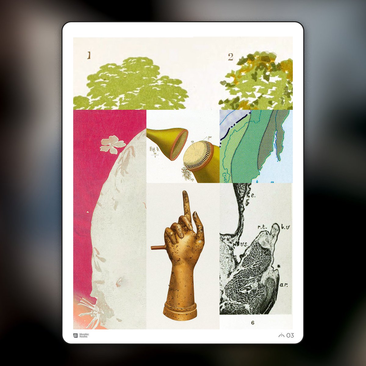 morphic additions - series two now available tweet media