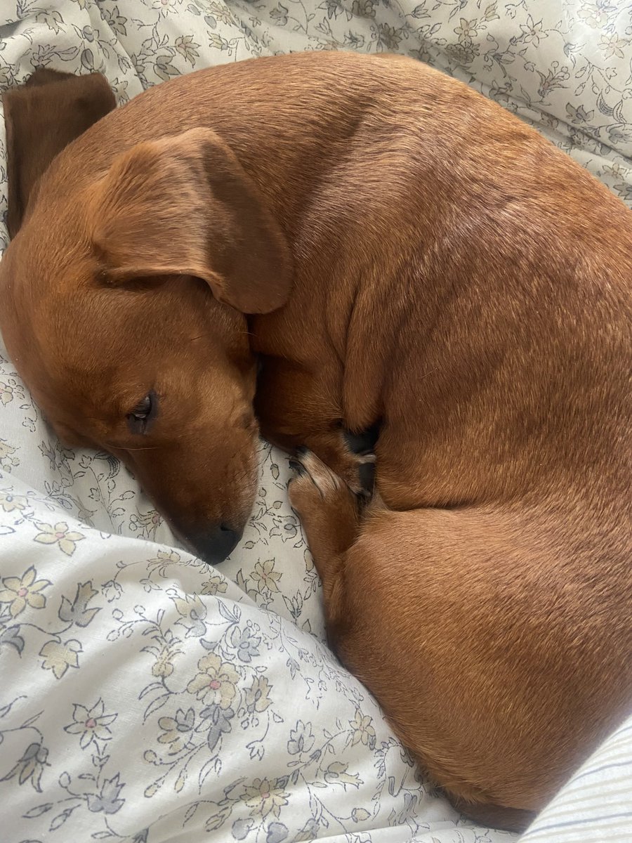 Jo Peters tweet media